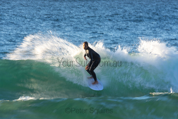 Whale Beach 2/7/20