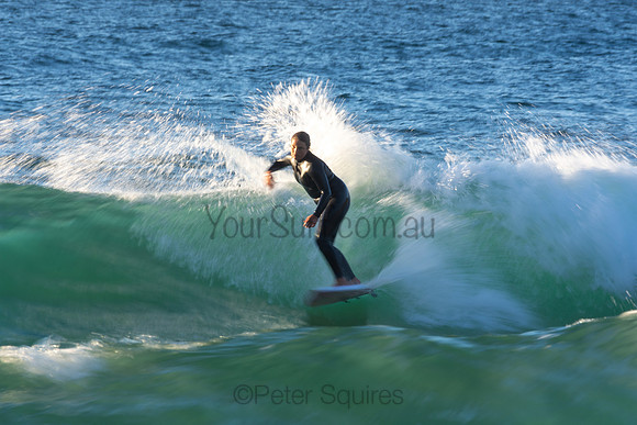 Whale Beach 2/7/20
