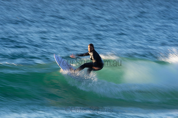 Whale Beach 2/7/20