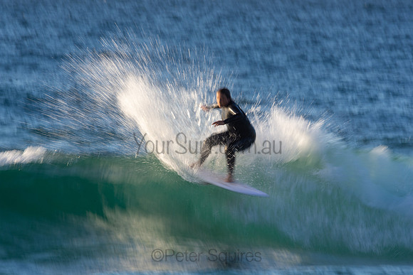 Whale Beach 2/7/20