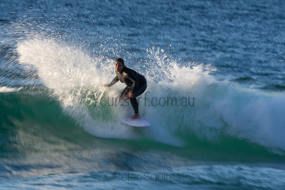 Whale Beach 2/7/20