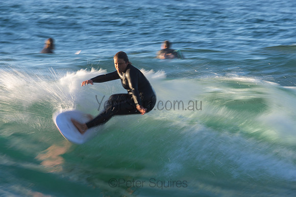 Whale Beach 2/7/20