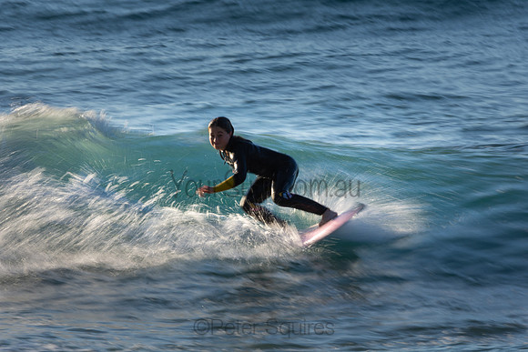 Whale Beach 2/7/20