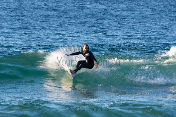 Whale Beach 2/7/20