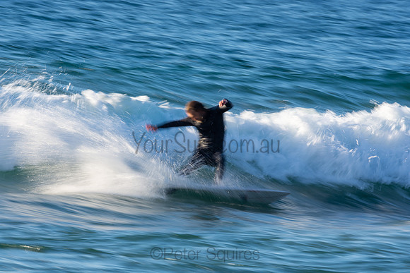Whale Beach 2/7/20