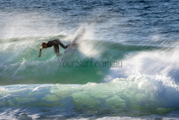 Whale Beach 2/7/20