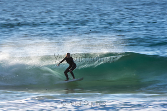 Whale Beach 2/7/20