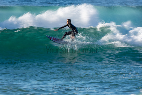 Whale Beach 2/7/20