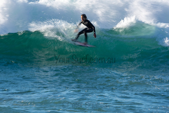 Whale Beach 2/7/20
