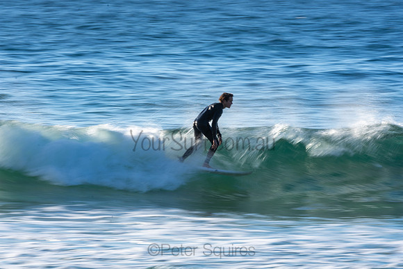 Whale Beach 2/7/20