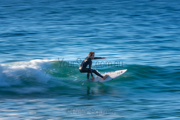 Whale Beach 2/7/20