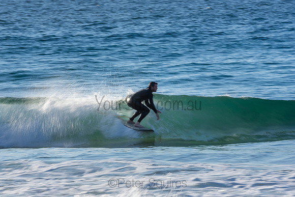 Whale Beach 2/7/20