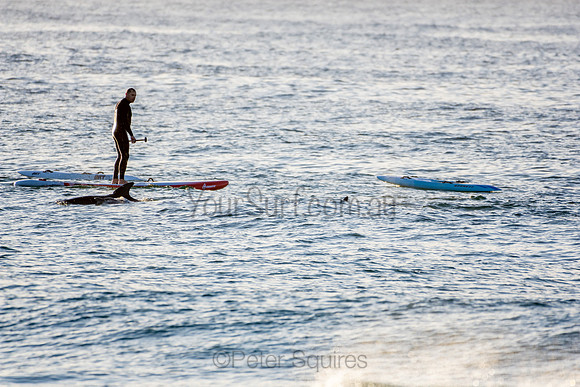 Palm Beach 3/7/20