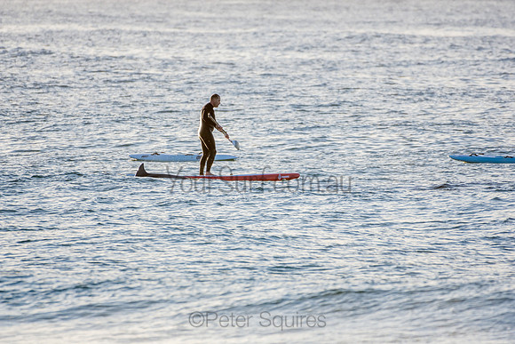 Palm Beach 3/7/20