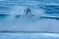 Whale Beach 5/7/20