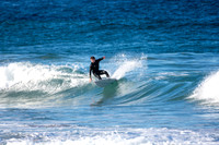 Whale Beach 5/7/20