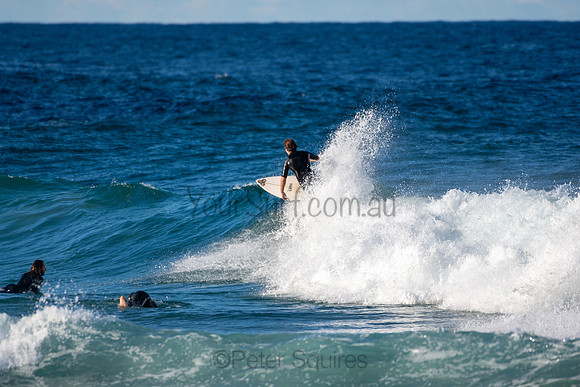 Whale Beach 5/7/20