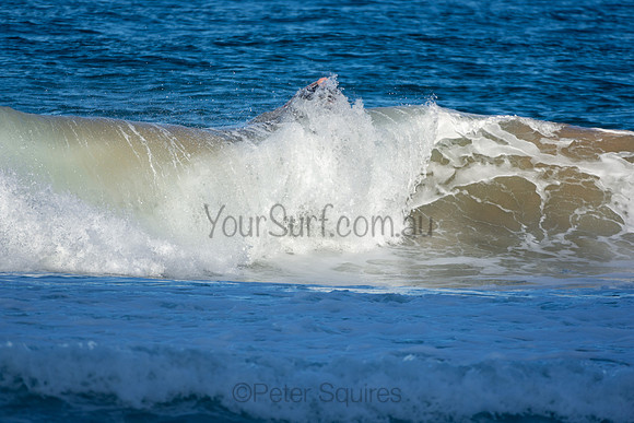 Whale Beach 5/7/20