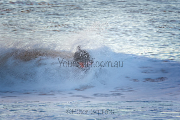 Whale Beach 9/7/20
