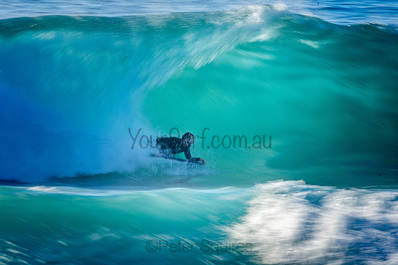 Whale Beach 9/7/20