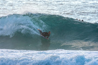 Whale Beach 9/7/20