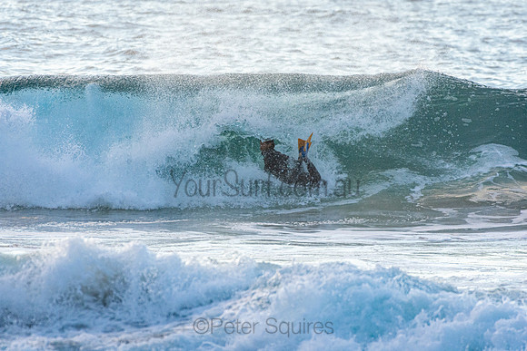 Whale Beach 9/7/20