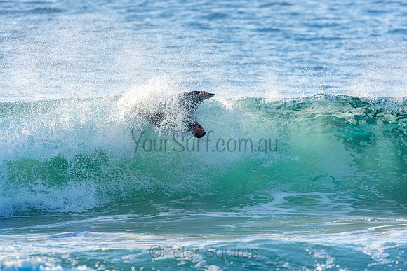 Whale Beach 9/7/20