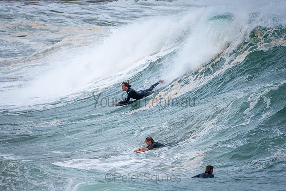 Mona Vale Basin 15/7/20