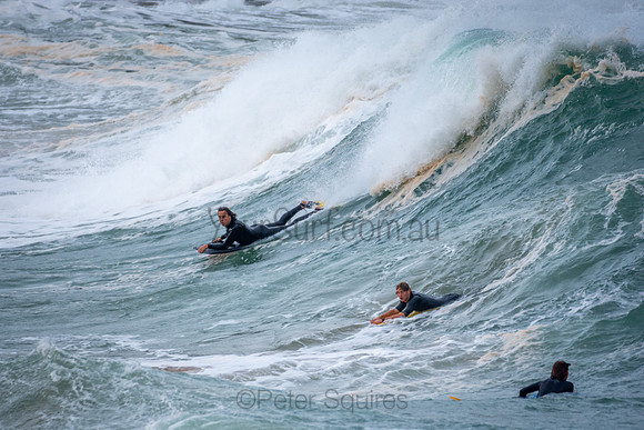 Mona Vale Basin 15/7/20
