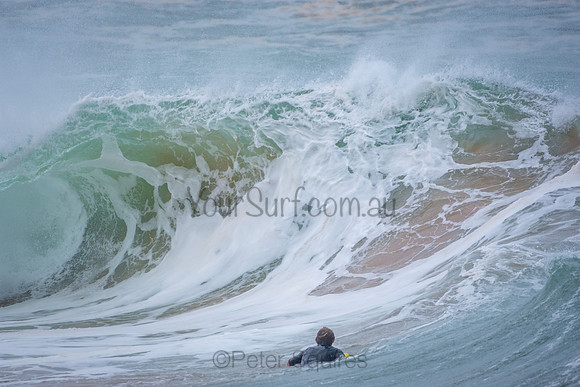 Mona Vale Basin 15/7/20