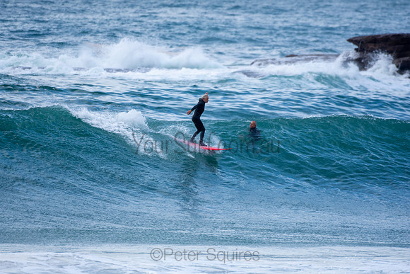 Palm_Beach-200717-09.19-008