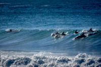 Nth_Palm_Beach-200719-09.08-579
