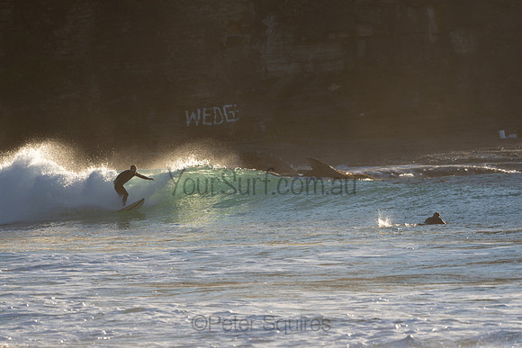Whale_Beach-200720-07.42-956