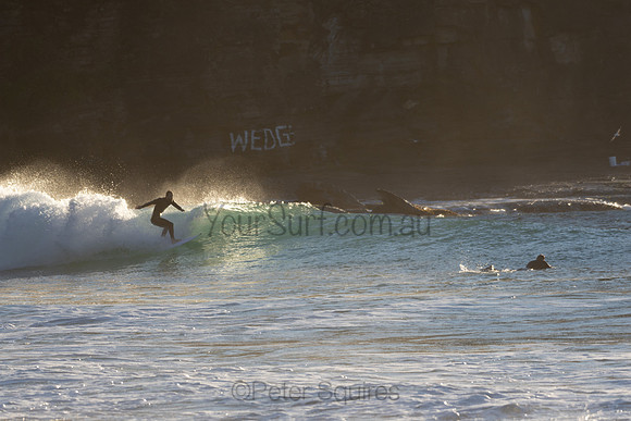 Whale_Beach-200720-07.42-957