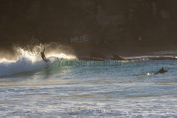 Whale_Beach-200720-07.42-960