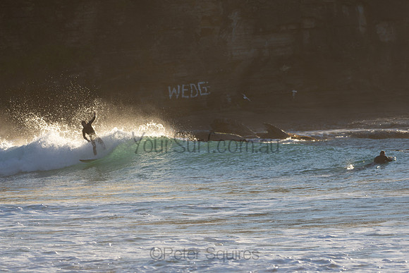 Whale_Beach-200720-07.42-961