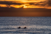 Palm_Beach-200723-06.11-668