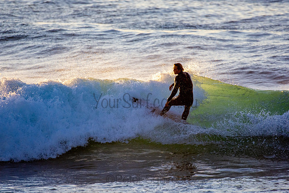 Whale Beach 5//6/20
