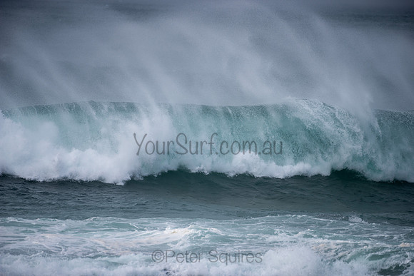 Mona_Vale-200727-09.25-069