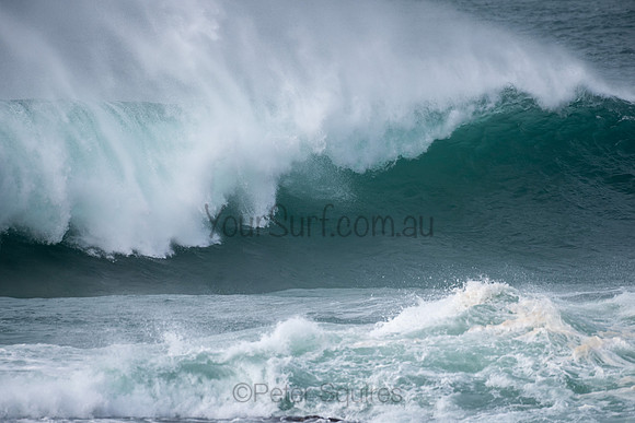 Mona_Vale-200727-09.35-051