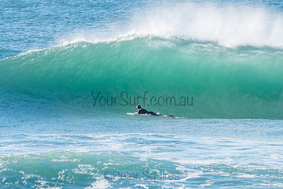 Whale_Beach-200729-07.52-501