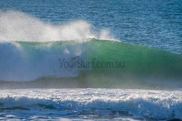 Whale_Beach-200729-07.15-613