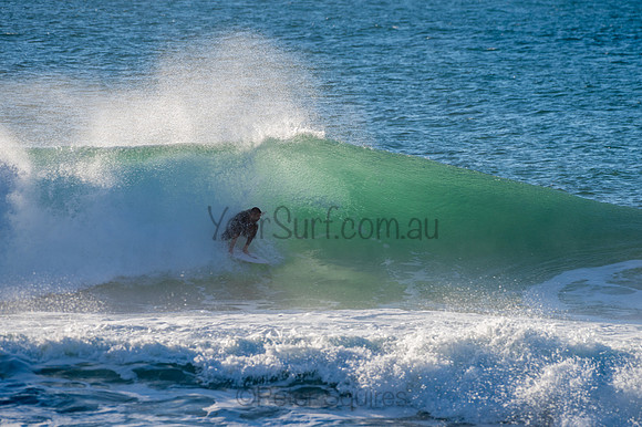 Whale_Beach-200729-07.15-691