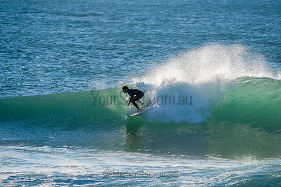 Whale_Beach-200729-07.17-736