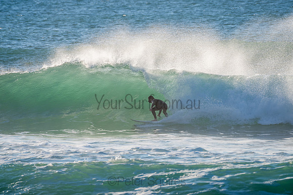 Whale_Beach-200729-07.18-604