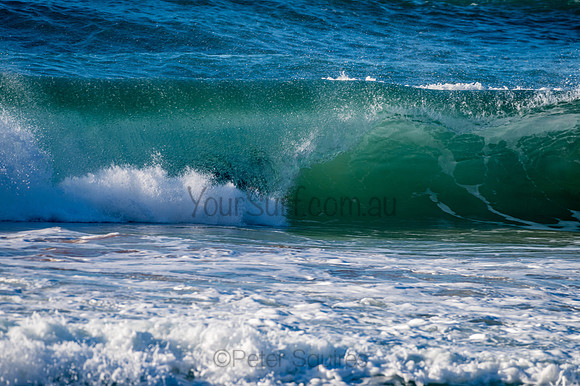 Whale_Beach-200729-07.22-280