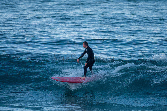 Palm_Beach-200730-15.36-372