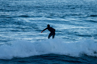 Palm_Beach-200730-15.37-742