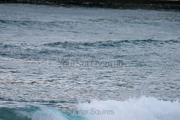 Palm_Beach-200730-16.12-1025