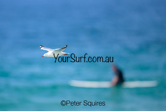 Mona_Vale_240329_102537_0307